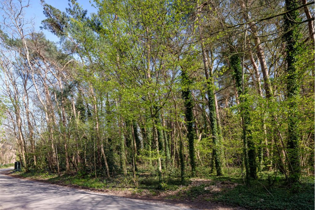 Bouwgrond van ca. 2.021m2 met zuidelijke oriëntatie